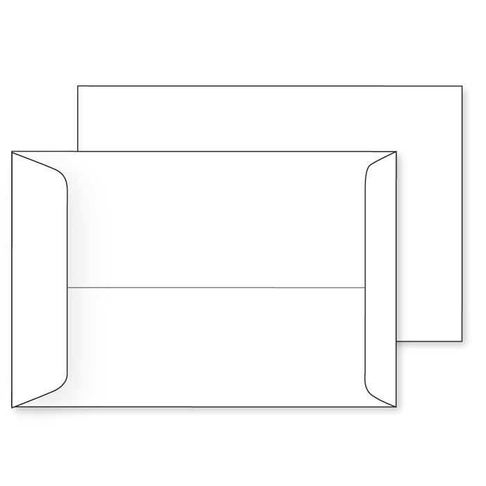 6 x 9-1/2 Catalog Envelope