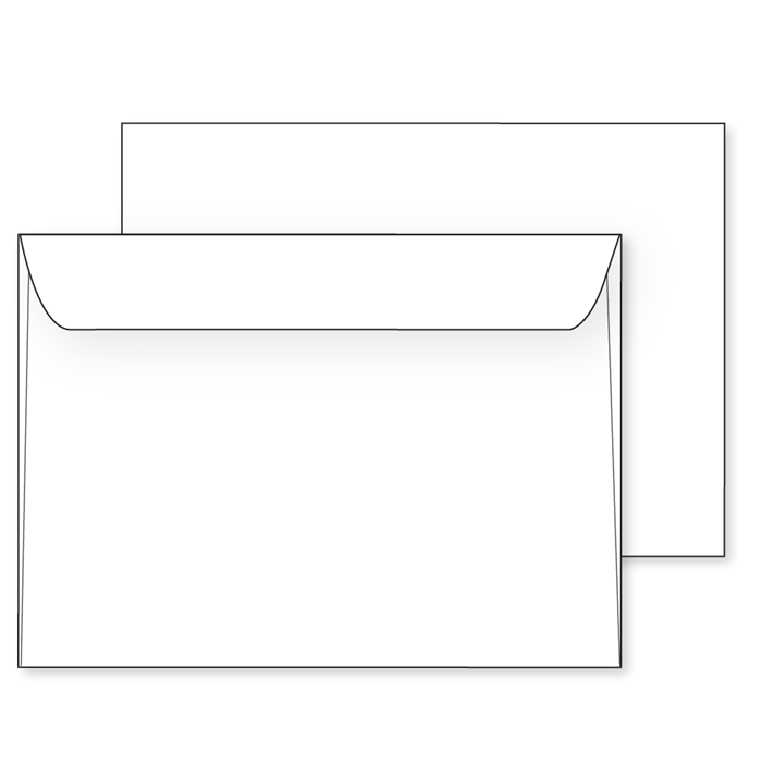 6-1/2 x 9-1/2 Booklet Envelope