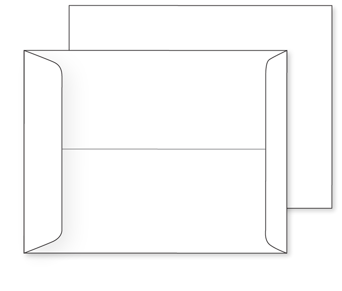 9-1/2 x 12-1/2 Catalog Envelope